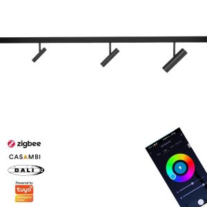 Magnetic Track Light