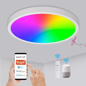 Smart LED Ceiling Light