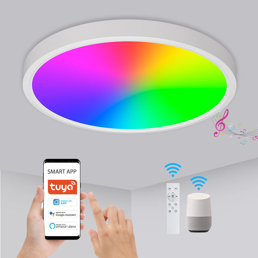Smart LED Ceiling Light