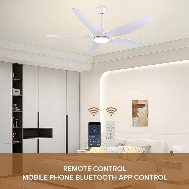 Fan Light - Image 5